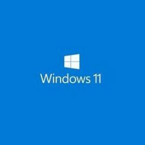 OS Microsoft Windows 11