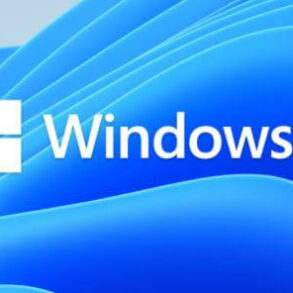 windows 11