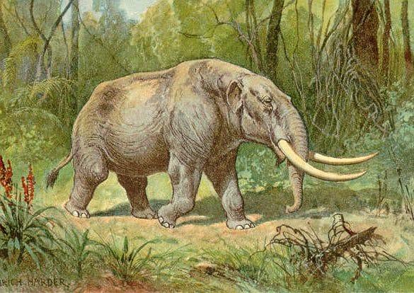 Hvem ejer Mastodon?